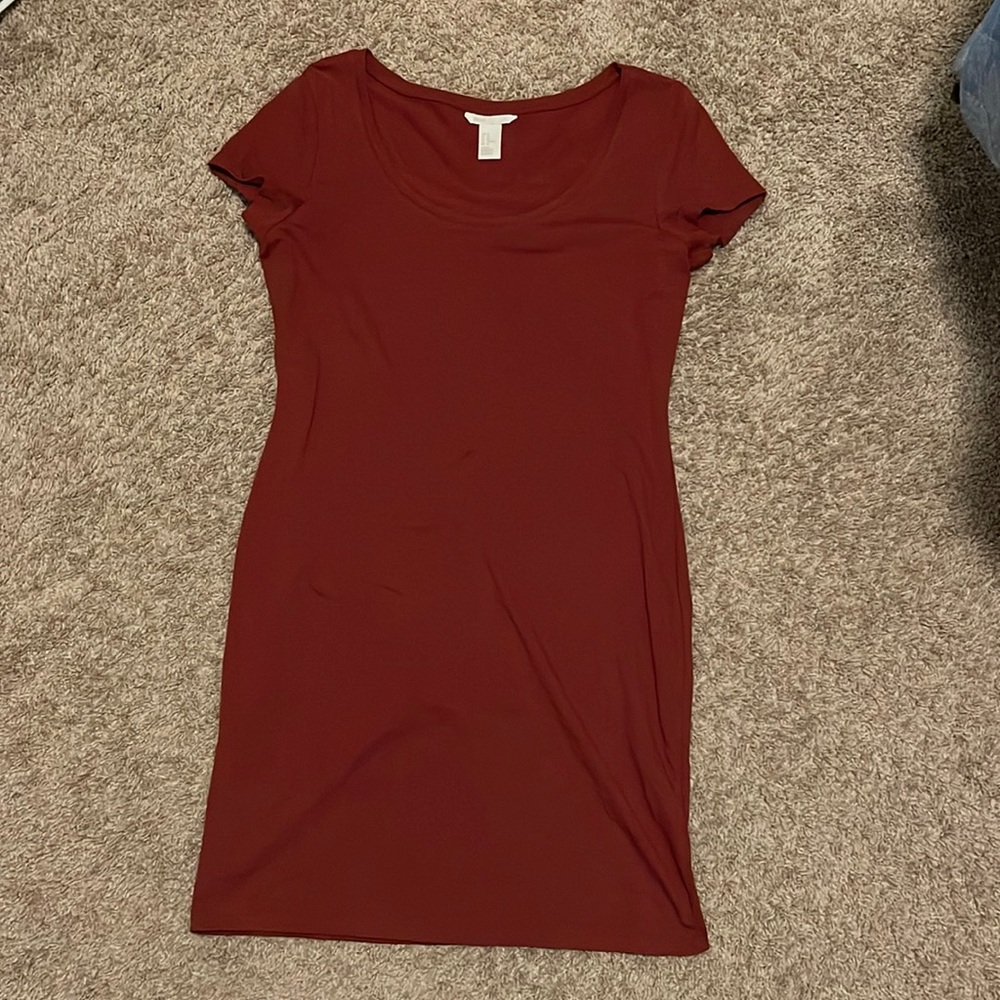 H&M Rusted Orange Form Fitted Dress